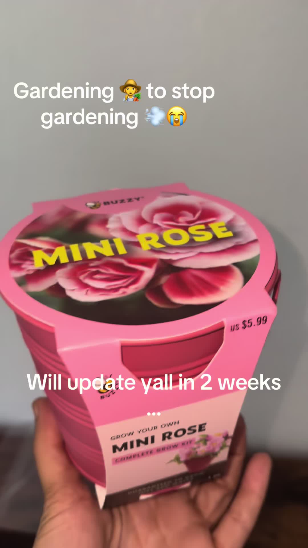 @TheAmandaShow🩷