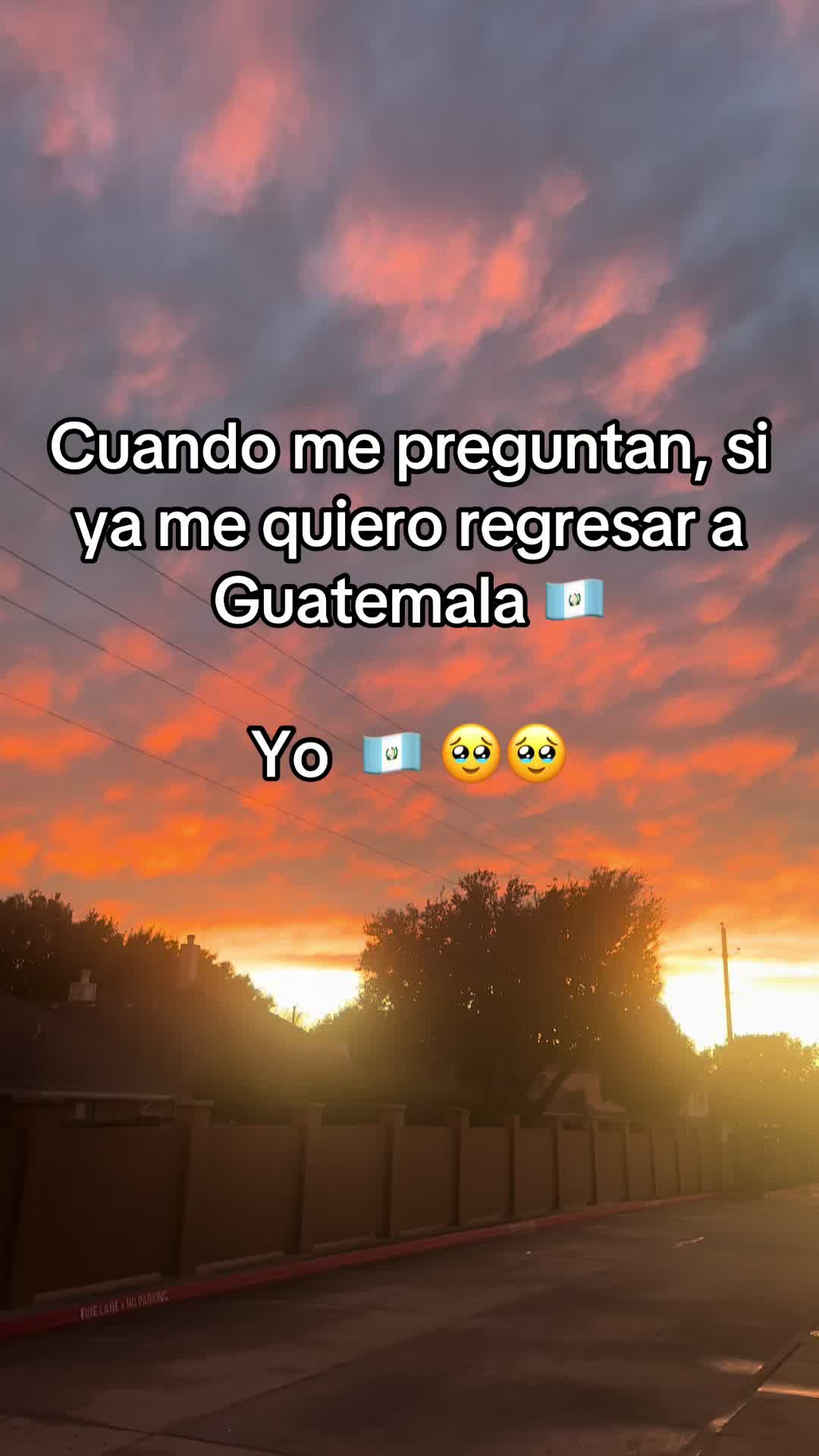 @Wilder 🤠☺️🤝