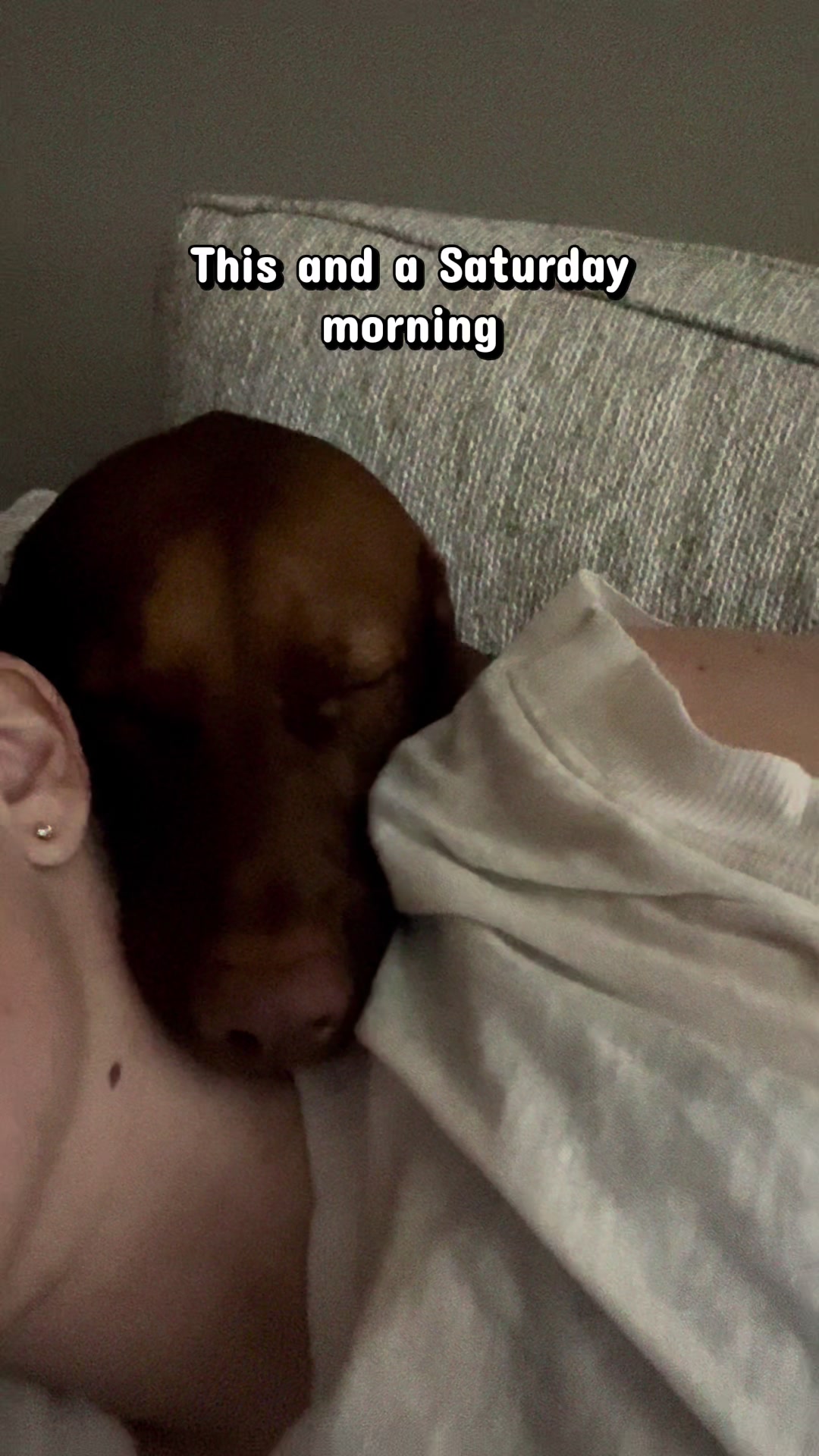 @waylonthevizsla