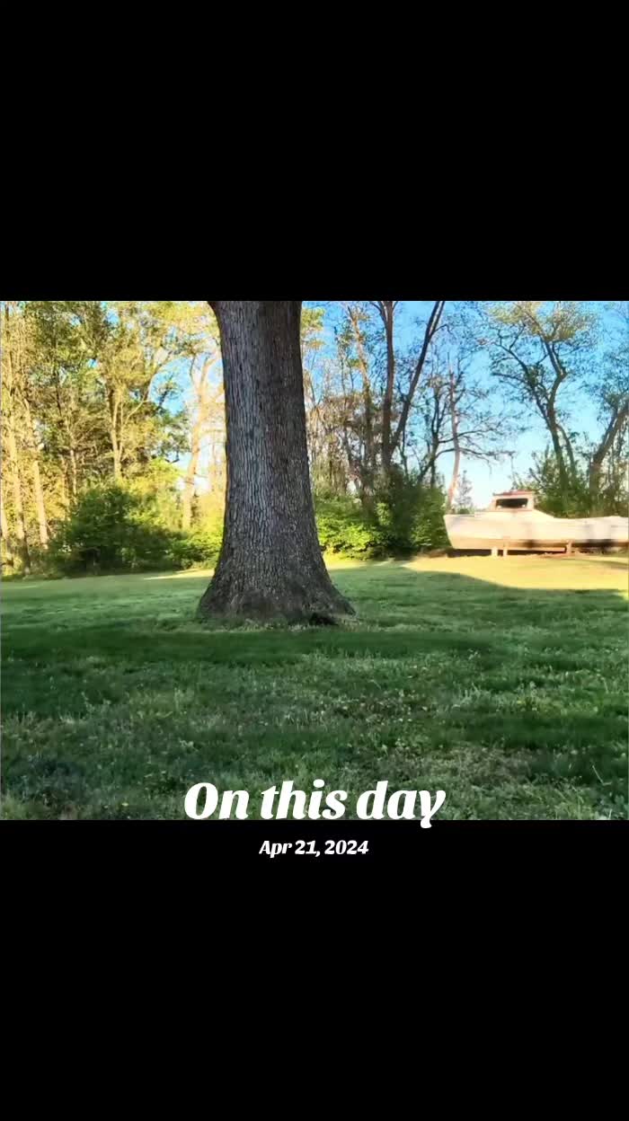@lizoneil