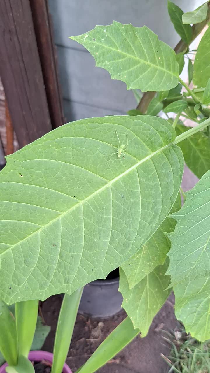 @Natur und Garten