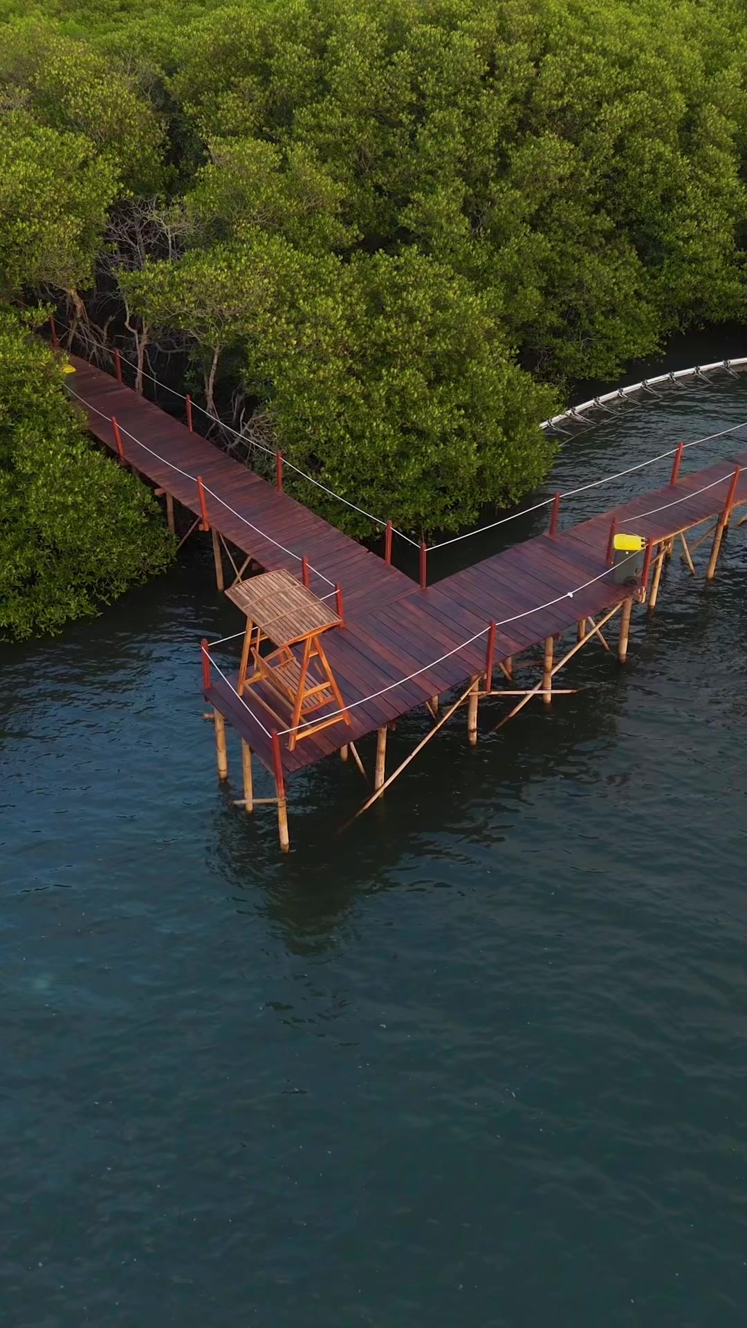@balemangrove_lombok