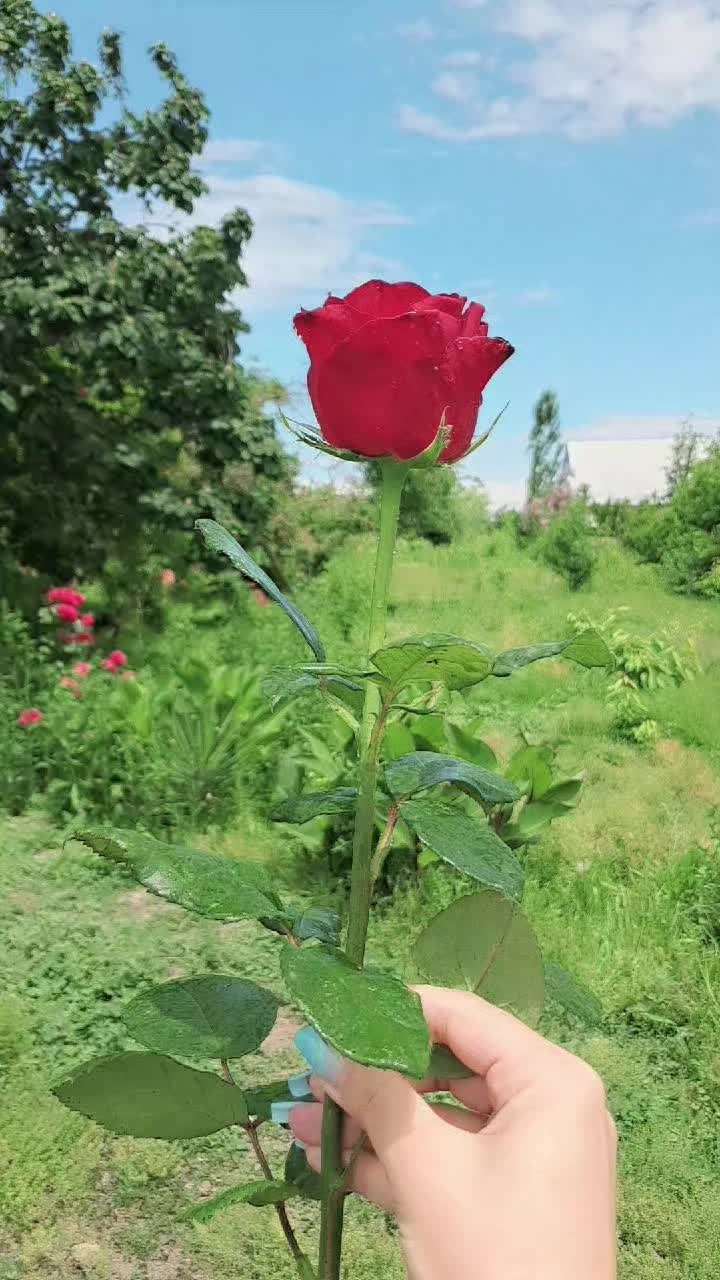 @Rufanə🪡 Nur