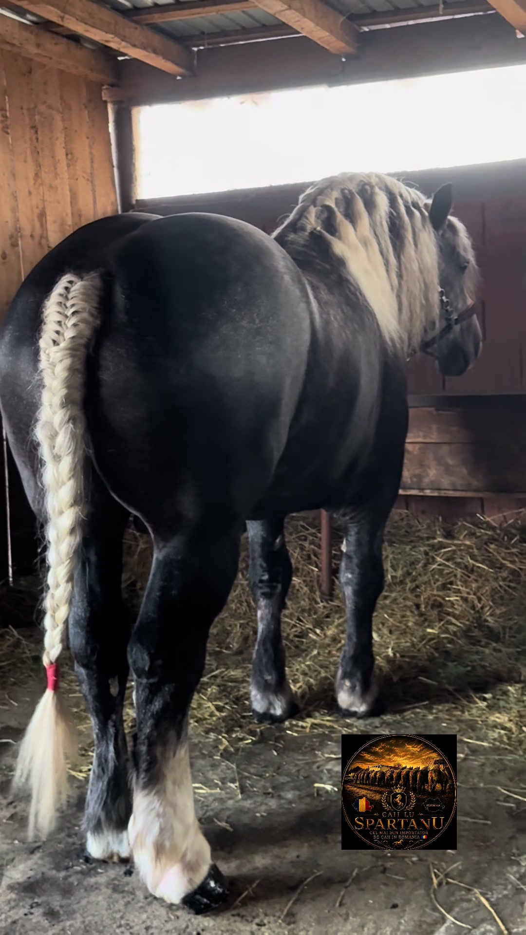 @🐴Spartanu🐴