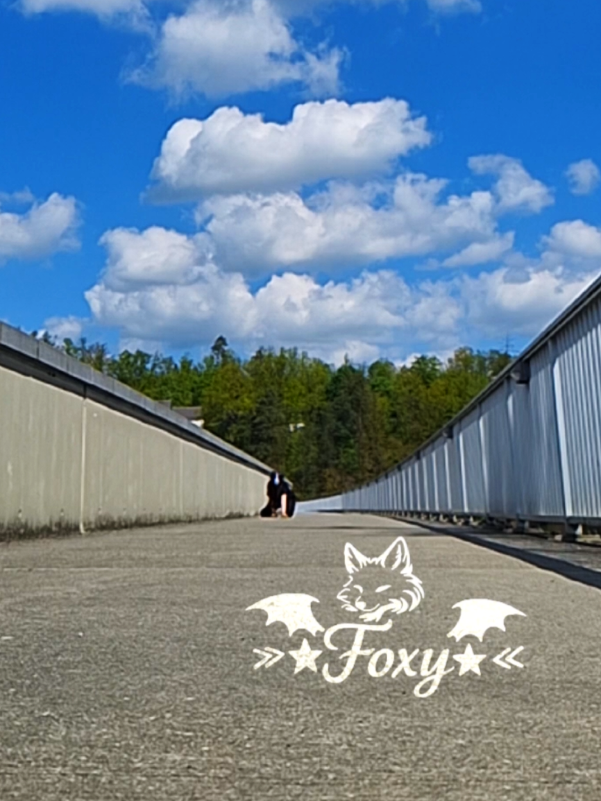 @&raquo;★Foxy★&laquo;