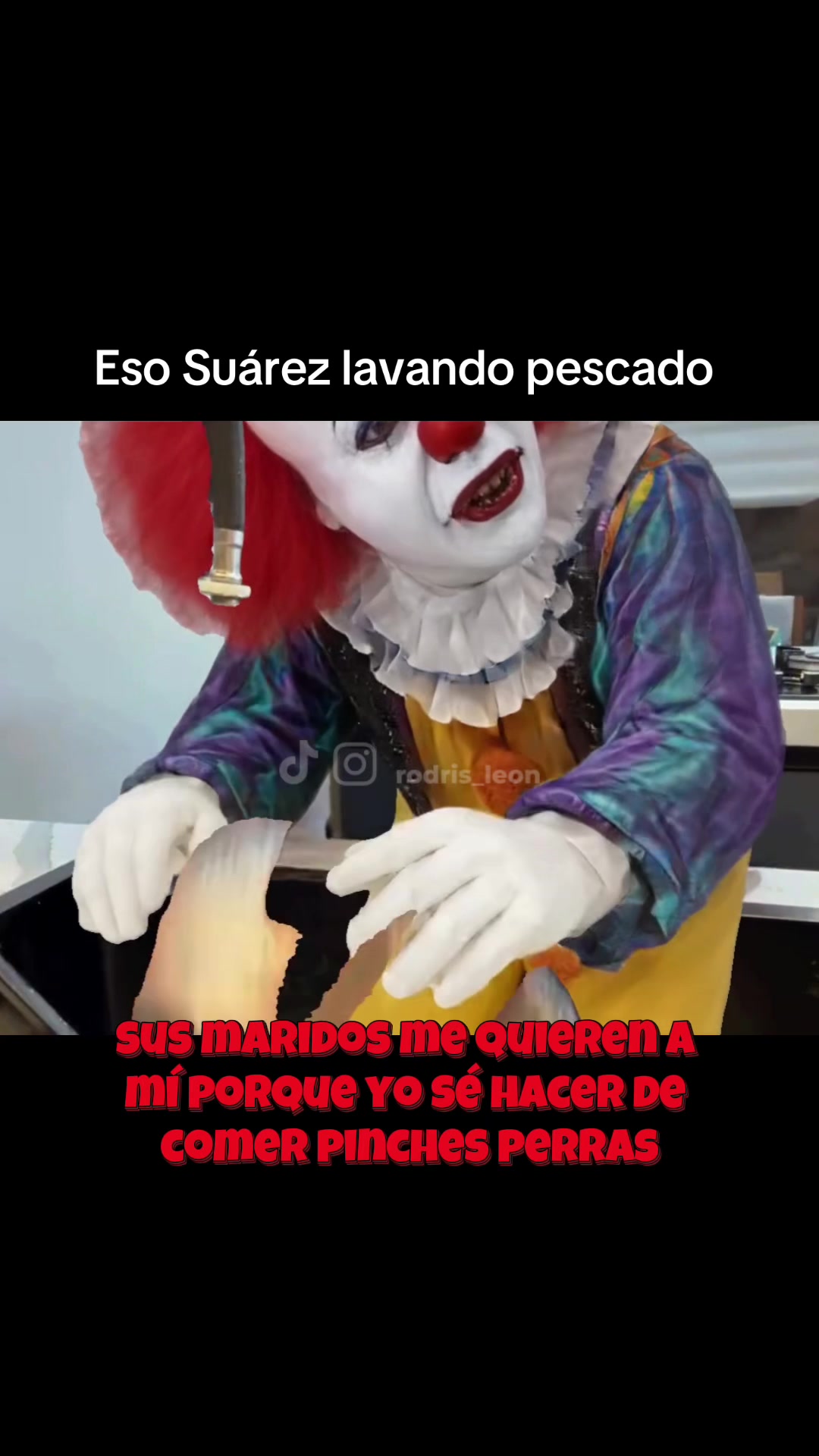 @RODRIS
