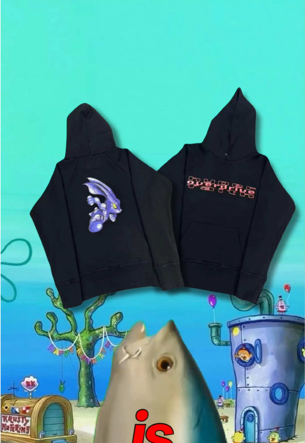 @bikinibottomsfashion