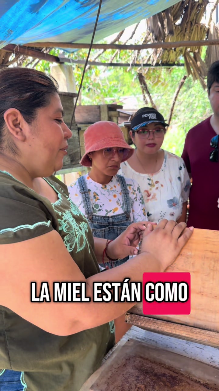 @Misaeleon(Mixo)