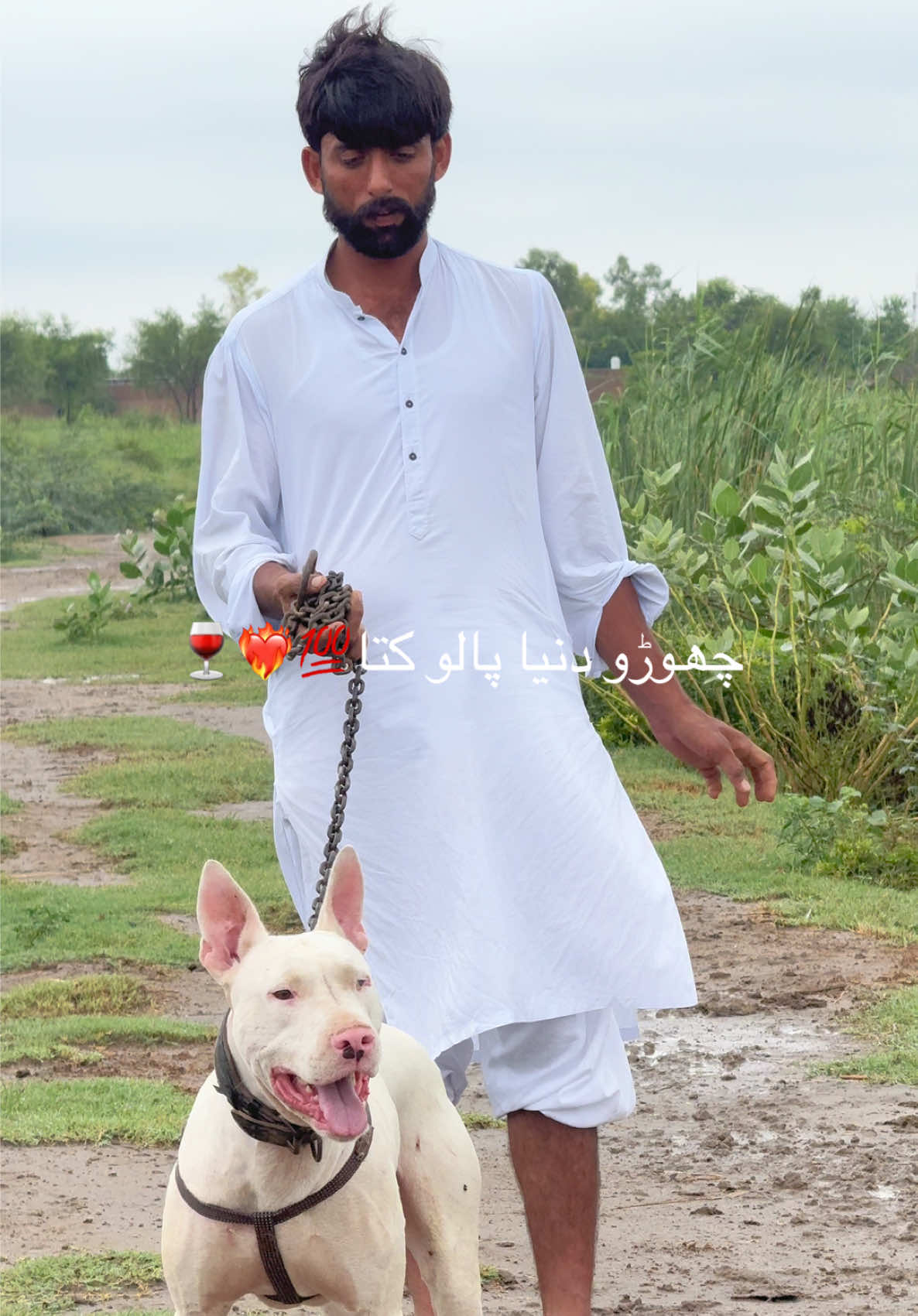 @میاں سلیمان بھرگڑ ♥️👑