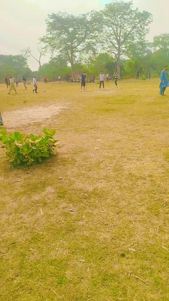 @saifkamboh120