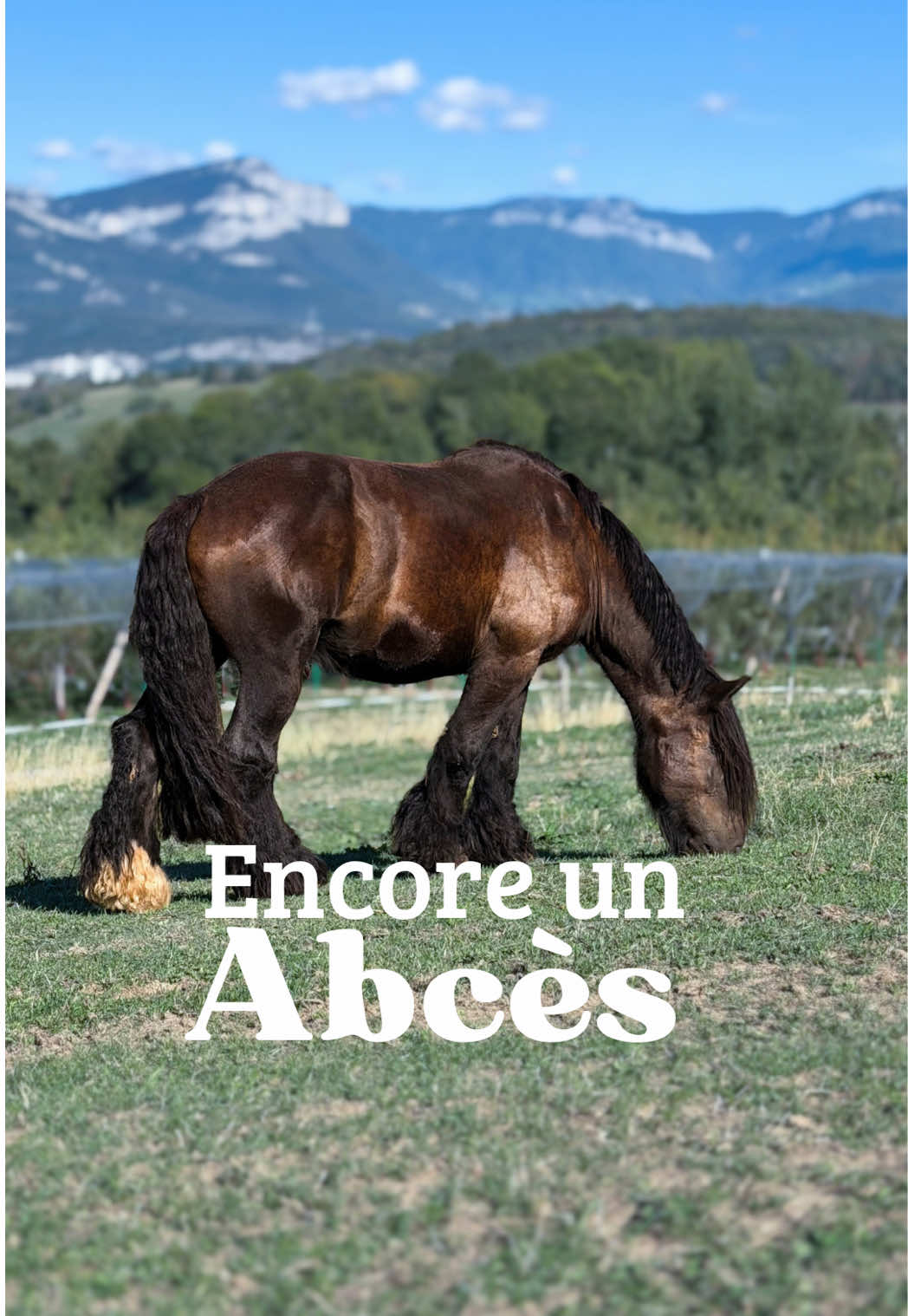 @Untraitdecheval