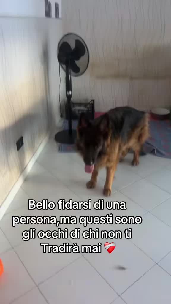 @Mariapia Vuolo