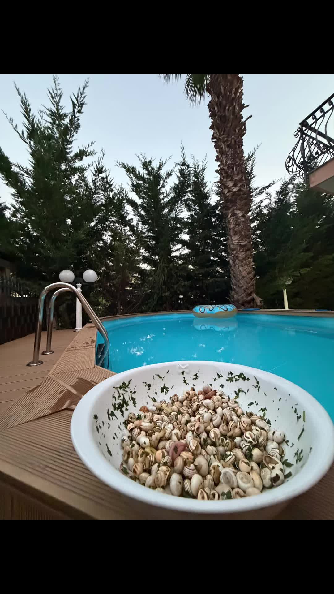@Francesco Paolo Gaeta