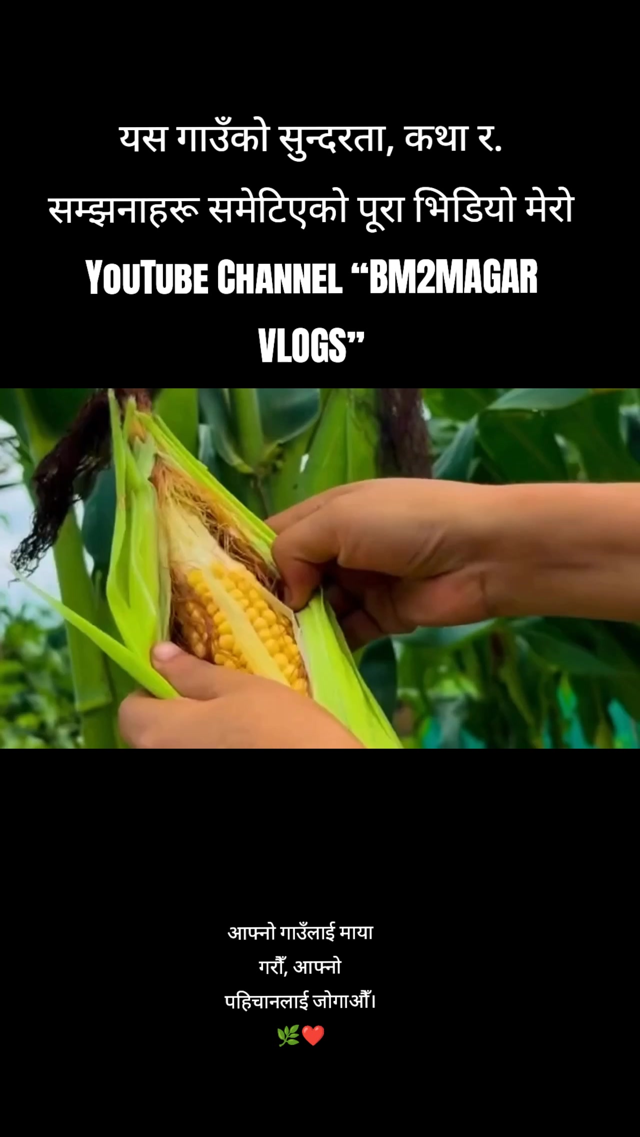 @༺महेश बुढा༻