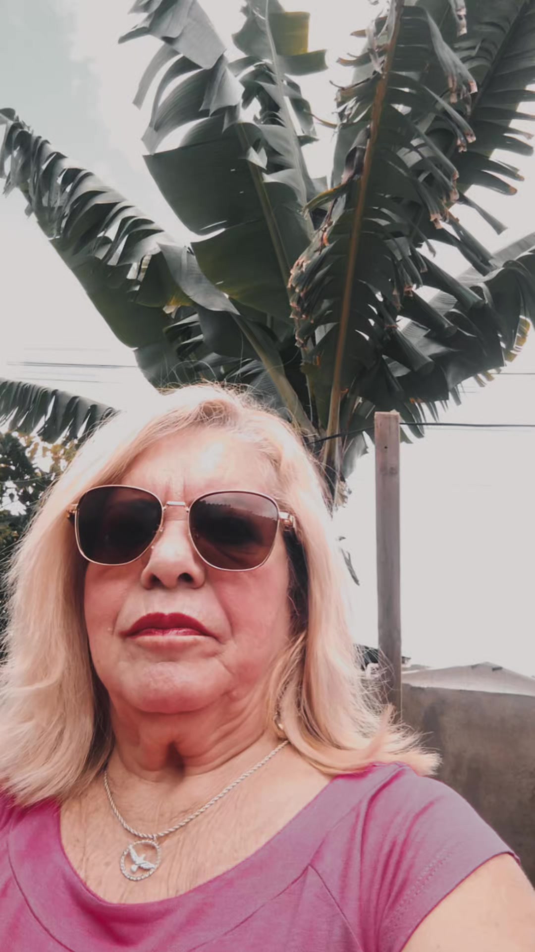 @Margarida Almeida