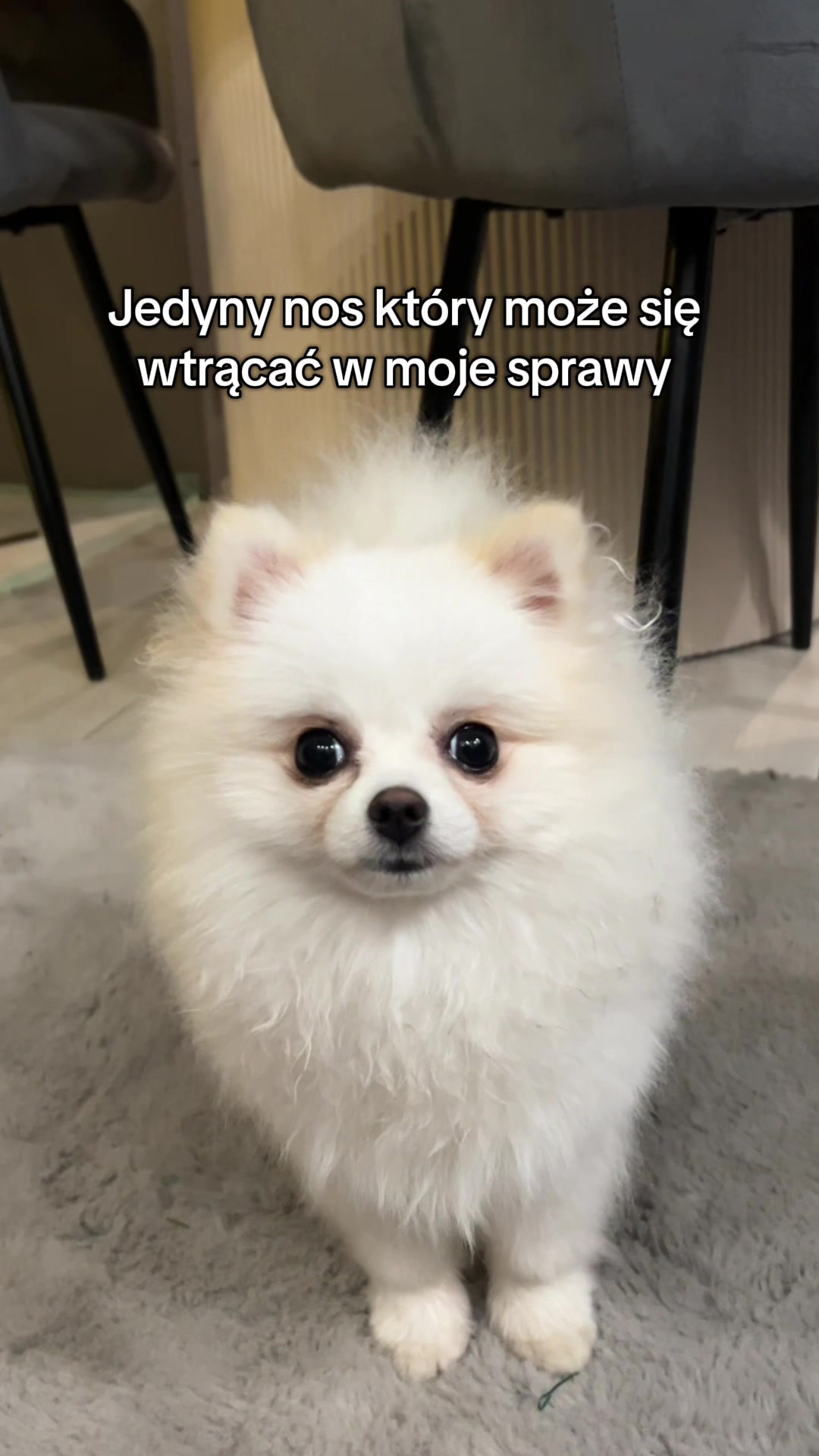 @ALEXA