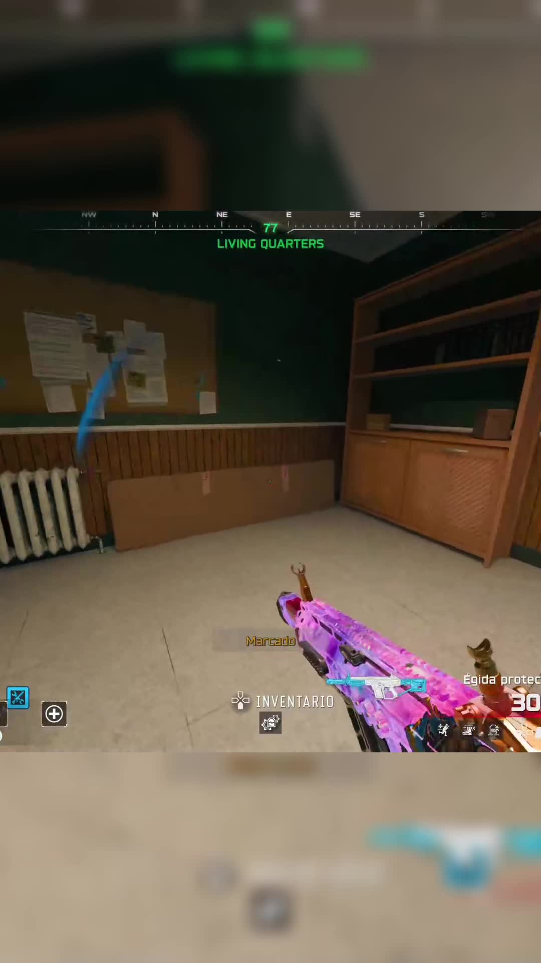 @pleito777