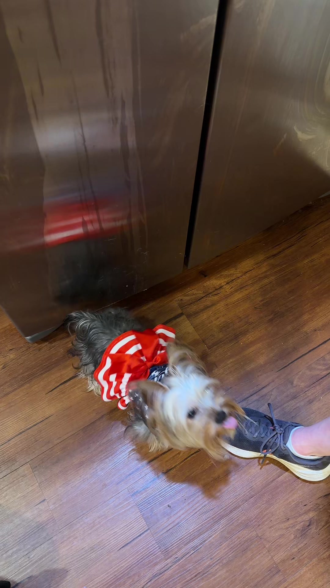 @Hannah Inzer | Dog Mom