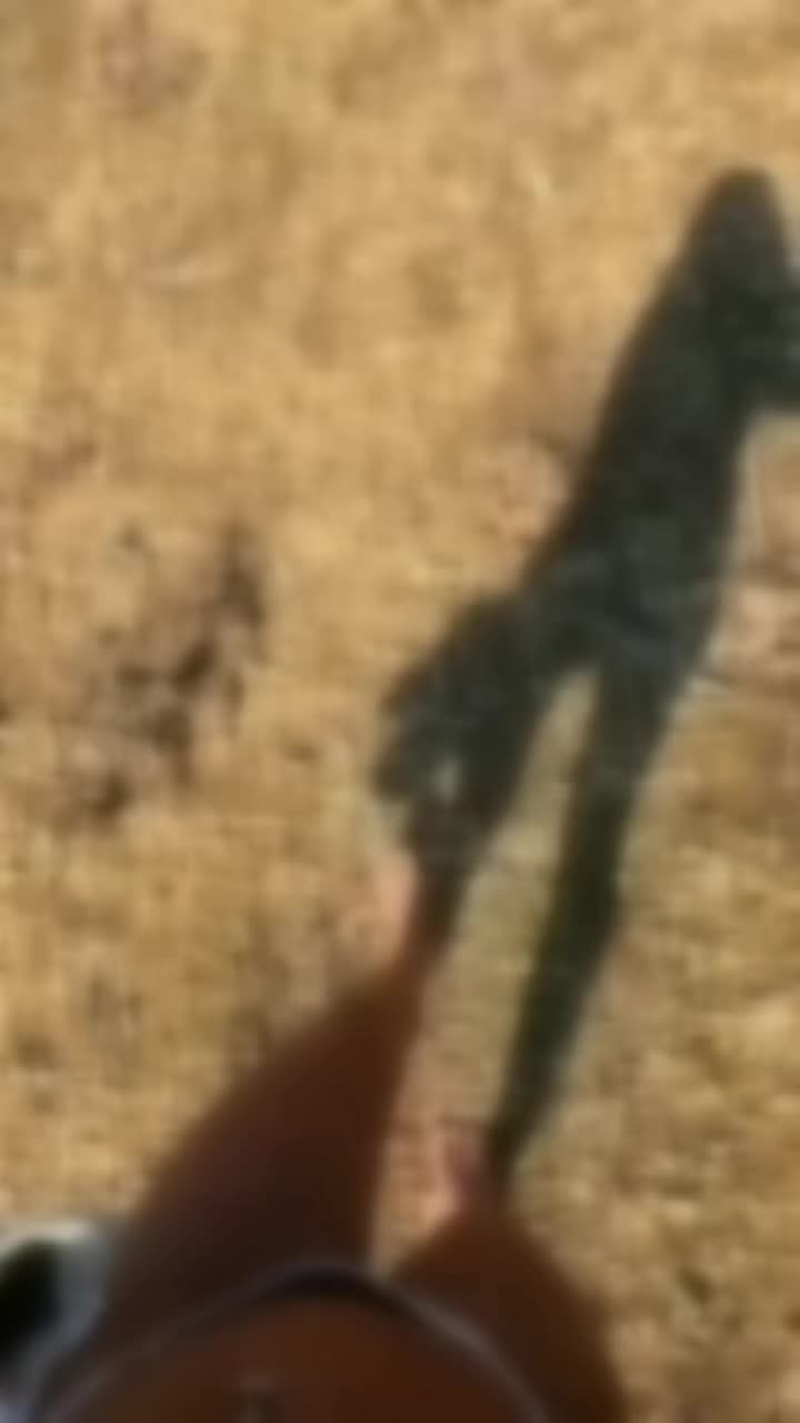 @nguynphngkhanh020