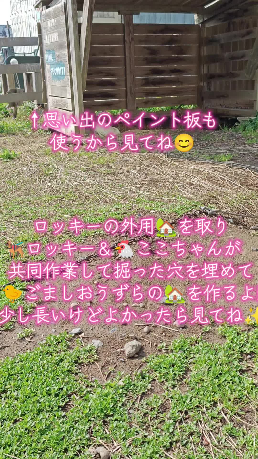 @ANIMAL♡M