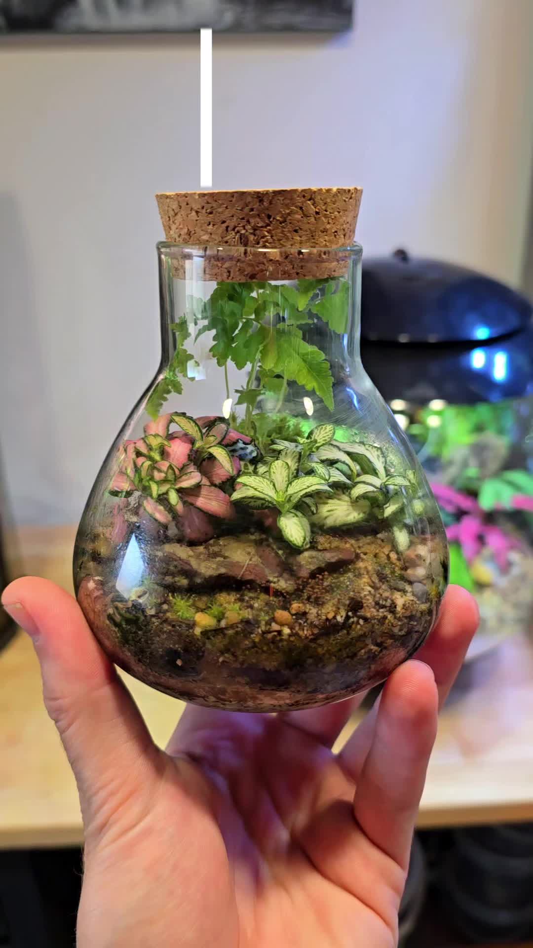 @Green Atmosphere Créations 🌿