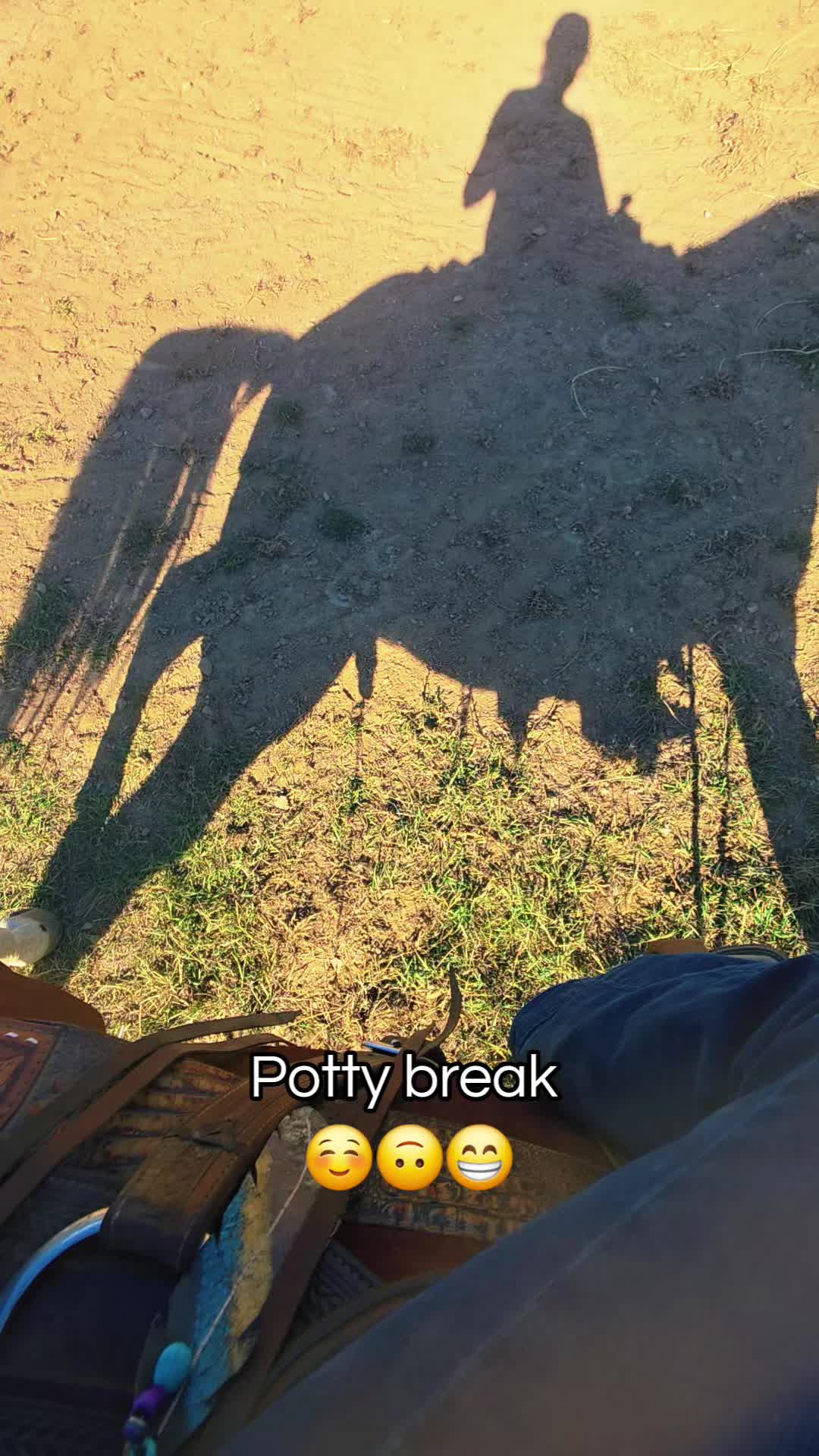 @🐴 ColdMountainRanch 🏇
