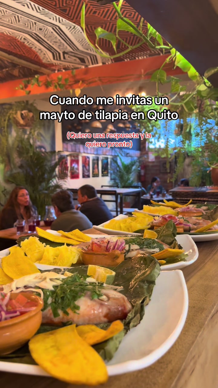 @Maytu