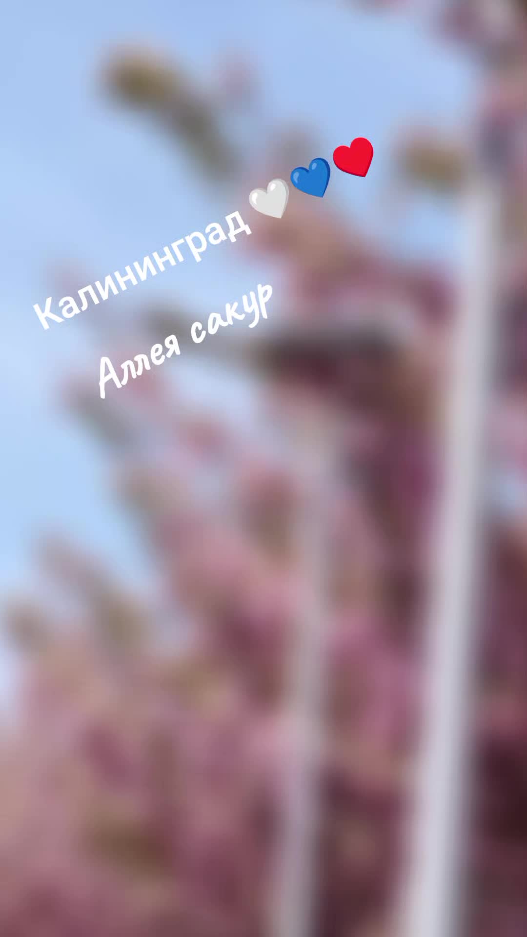 @Танюшка74