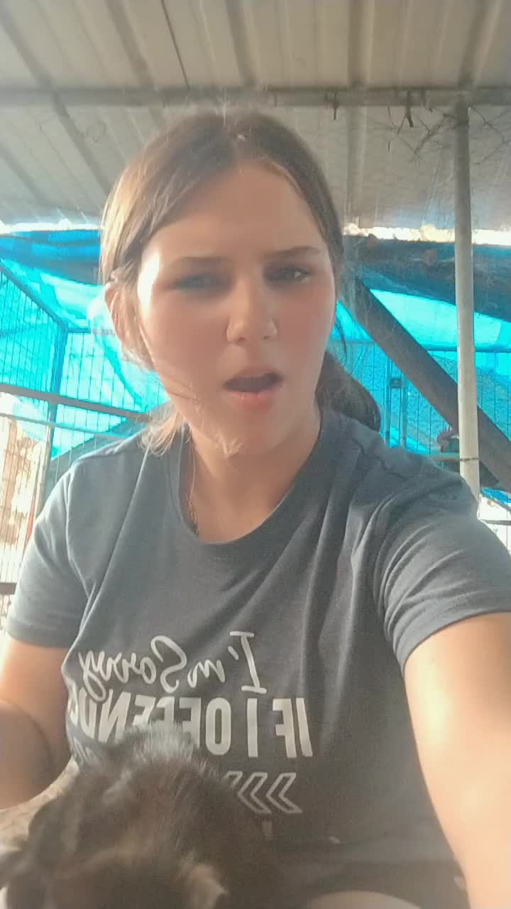 @bristolshyer