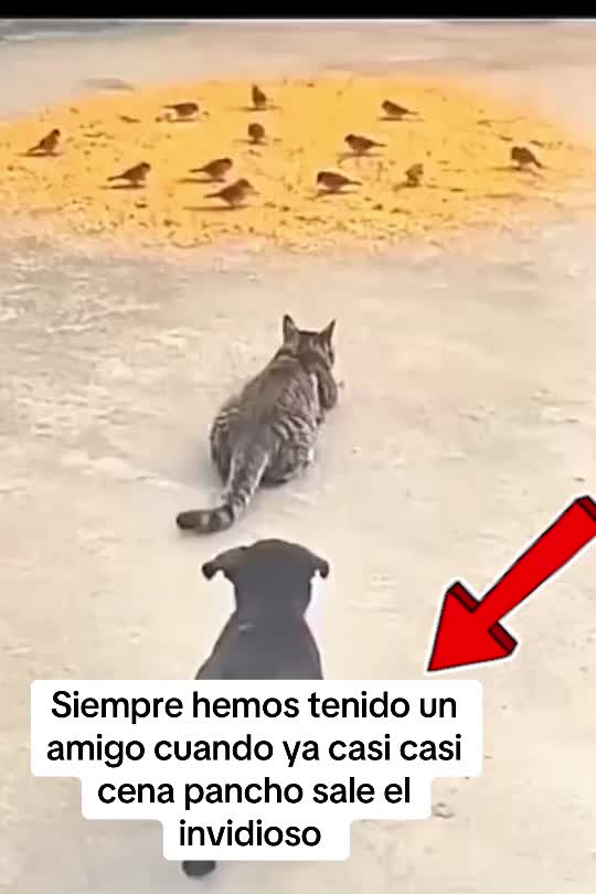 @ian_narvaez13