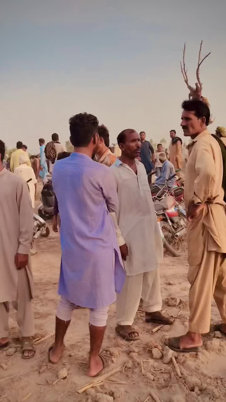 @Mehar Majo🇵🇰