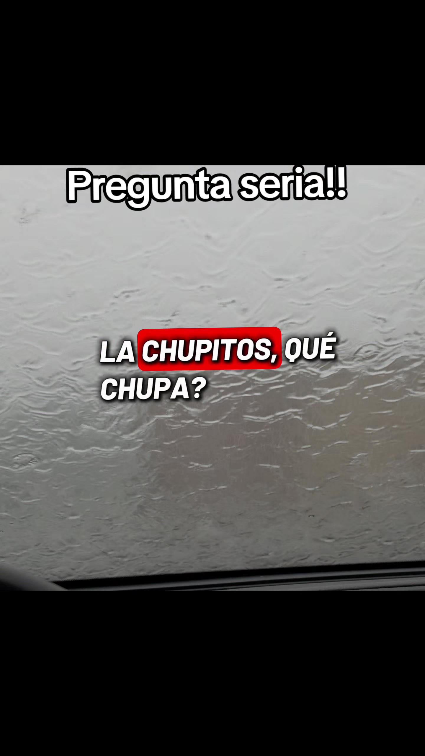 @Mayra Krystel