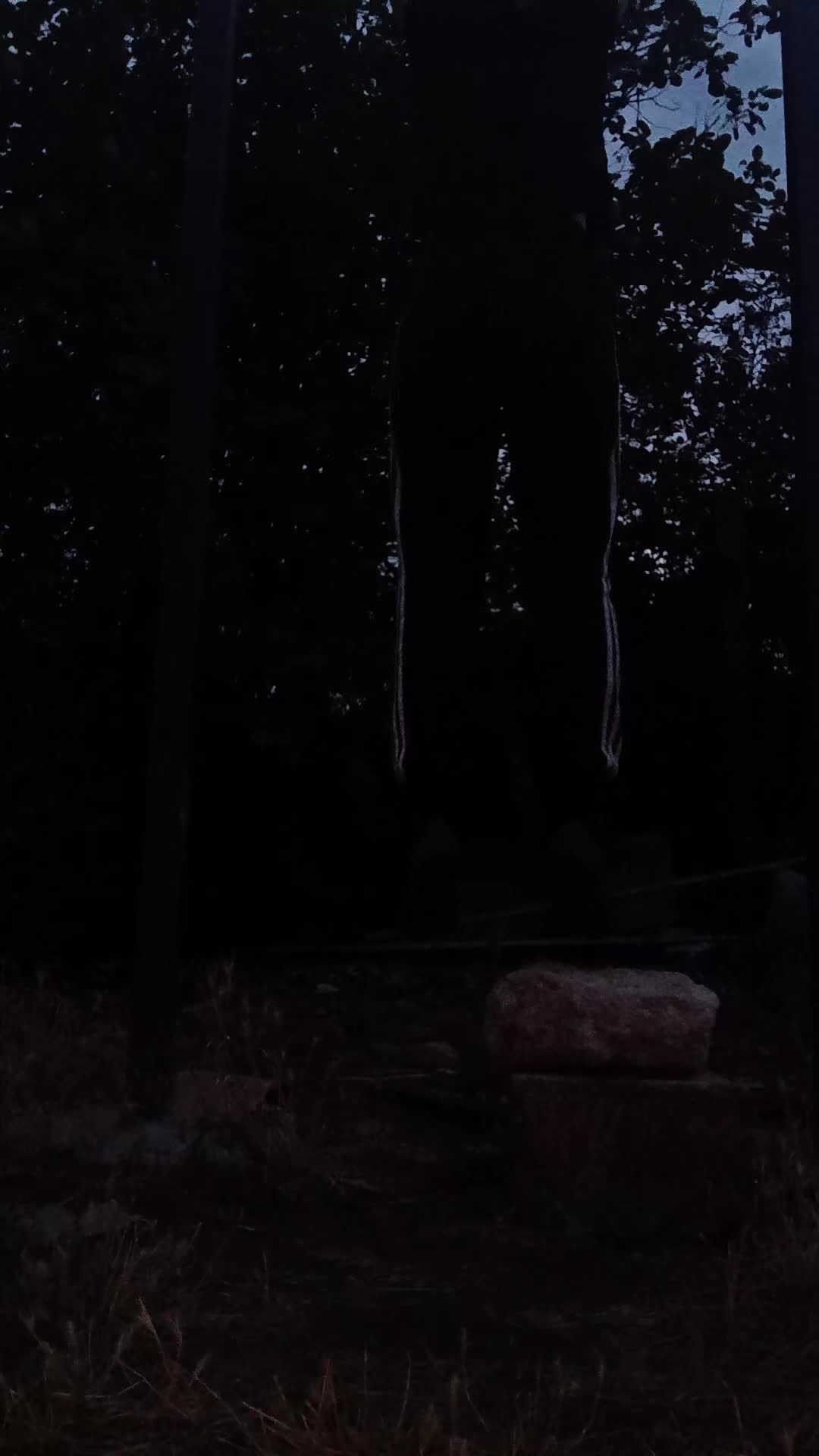 @Валерия
