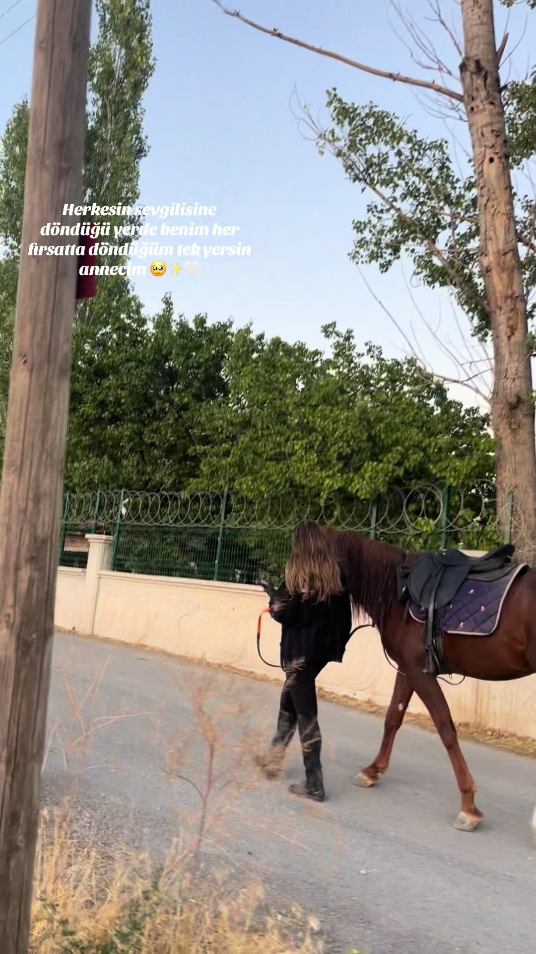@esra.guzelark