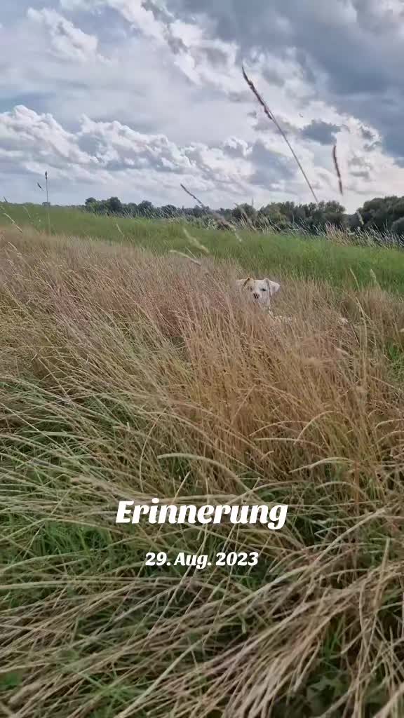 @bommelundcasi