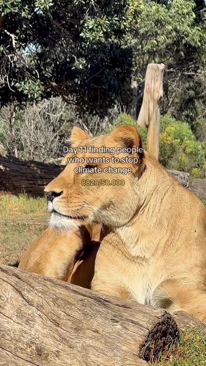 @help.the.planet