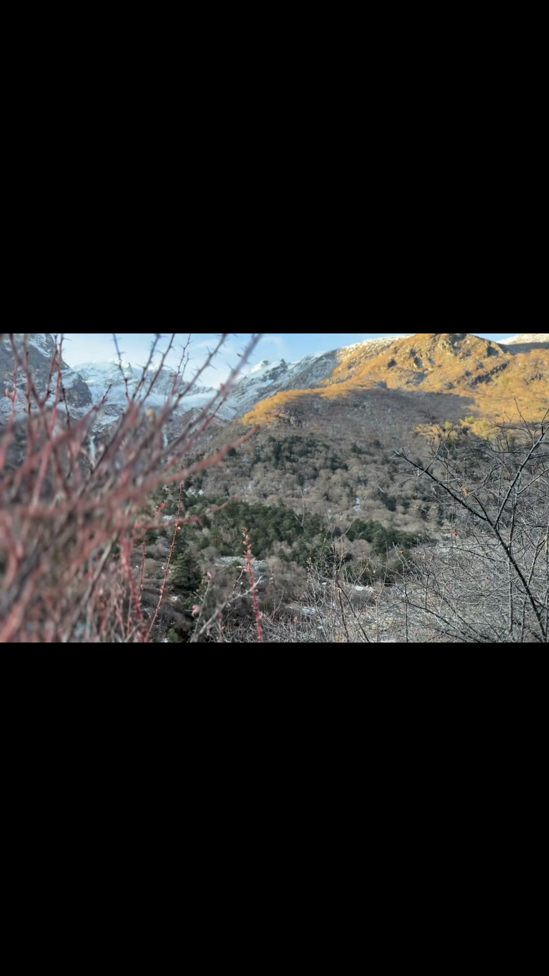 @रोहित श्रेष्ठ