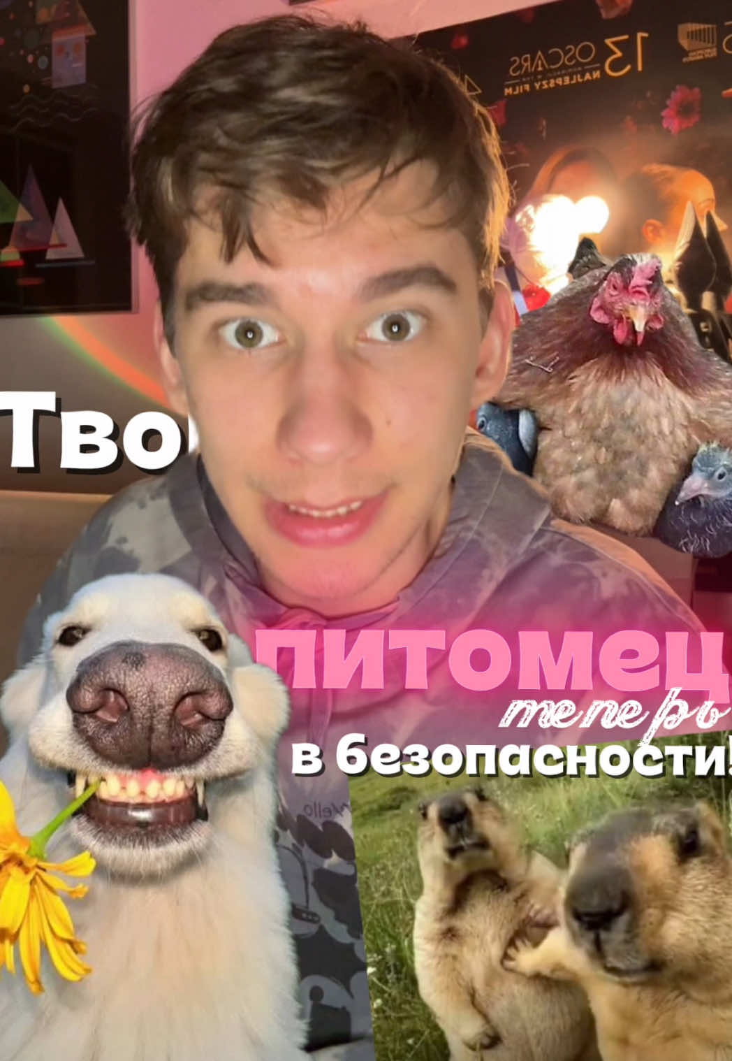 @МОХ