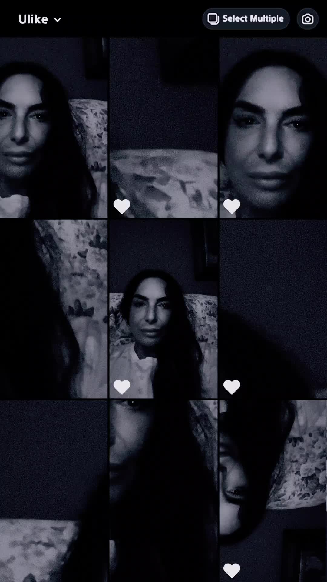 @niclapatrono