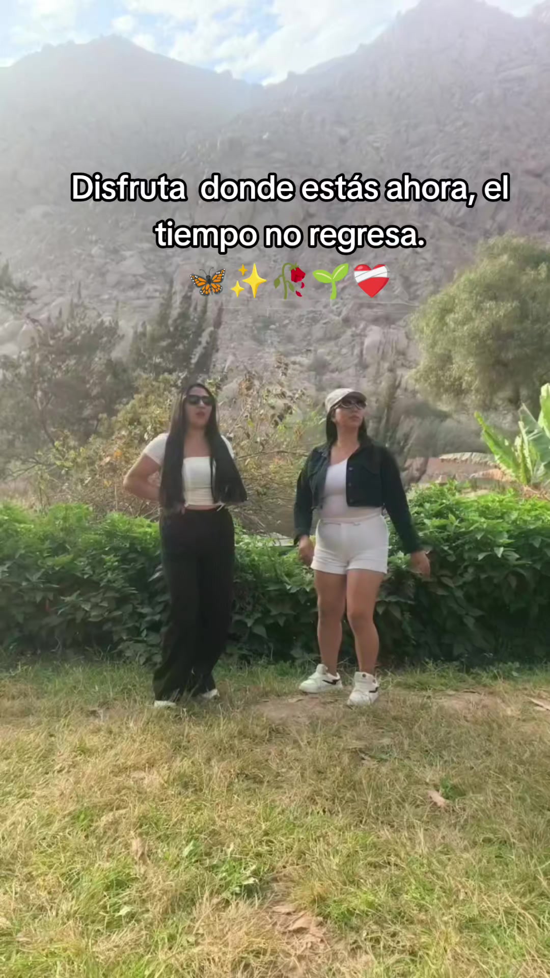 @Rosa AT🌹