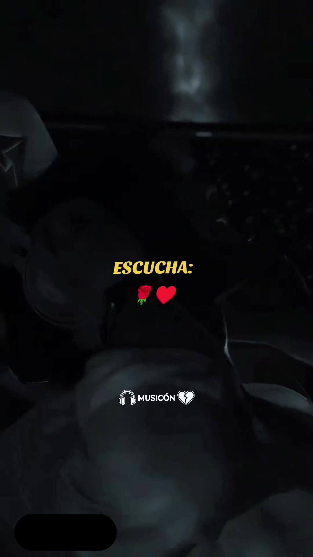 @𝐌𝐔𝐒𝐈𝐂𝐎𝐍💔🎧