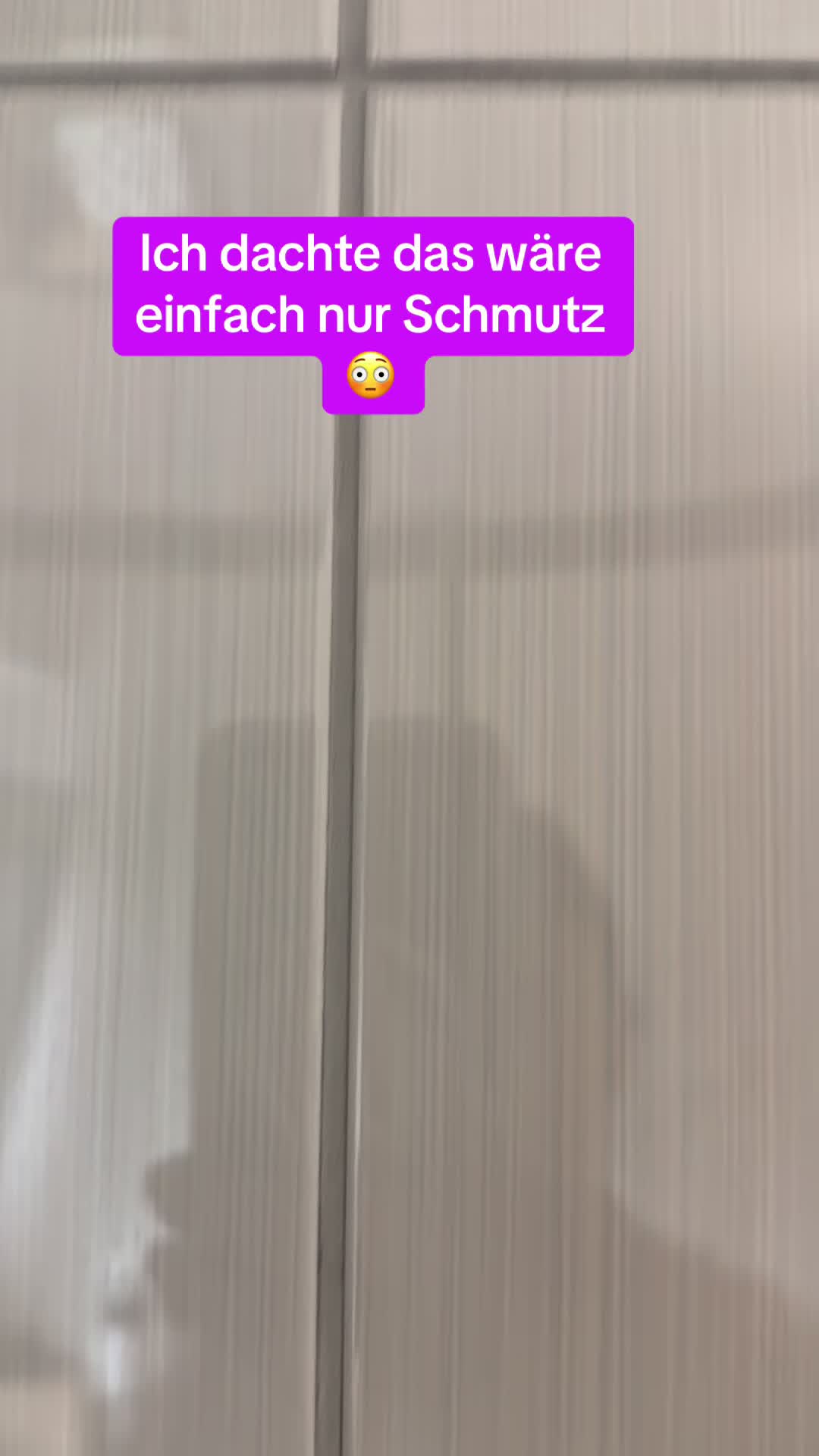 @Braunici