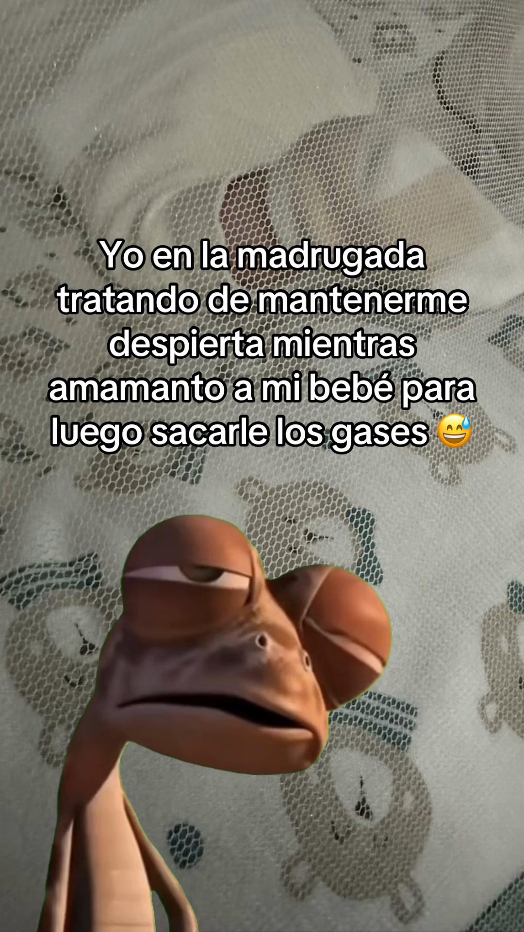 @RM.2324