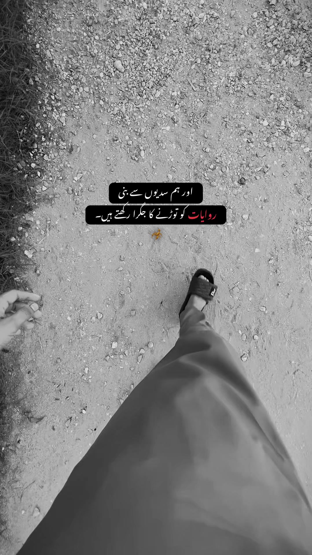@• 𝐒𝐇𝐀𝐌 ✦