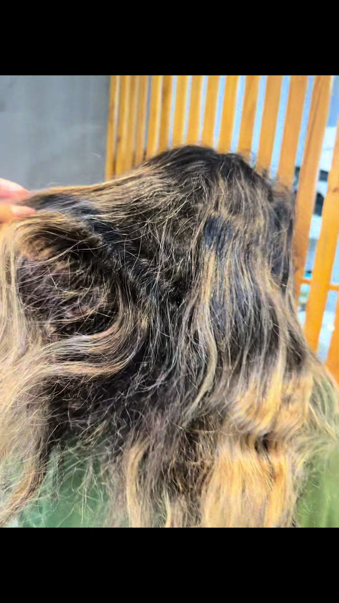 @Luana Prado