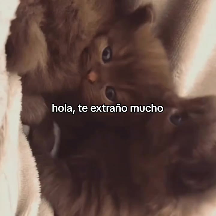 @goodvibessxd