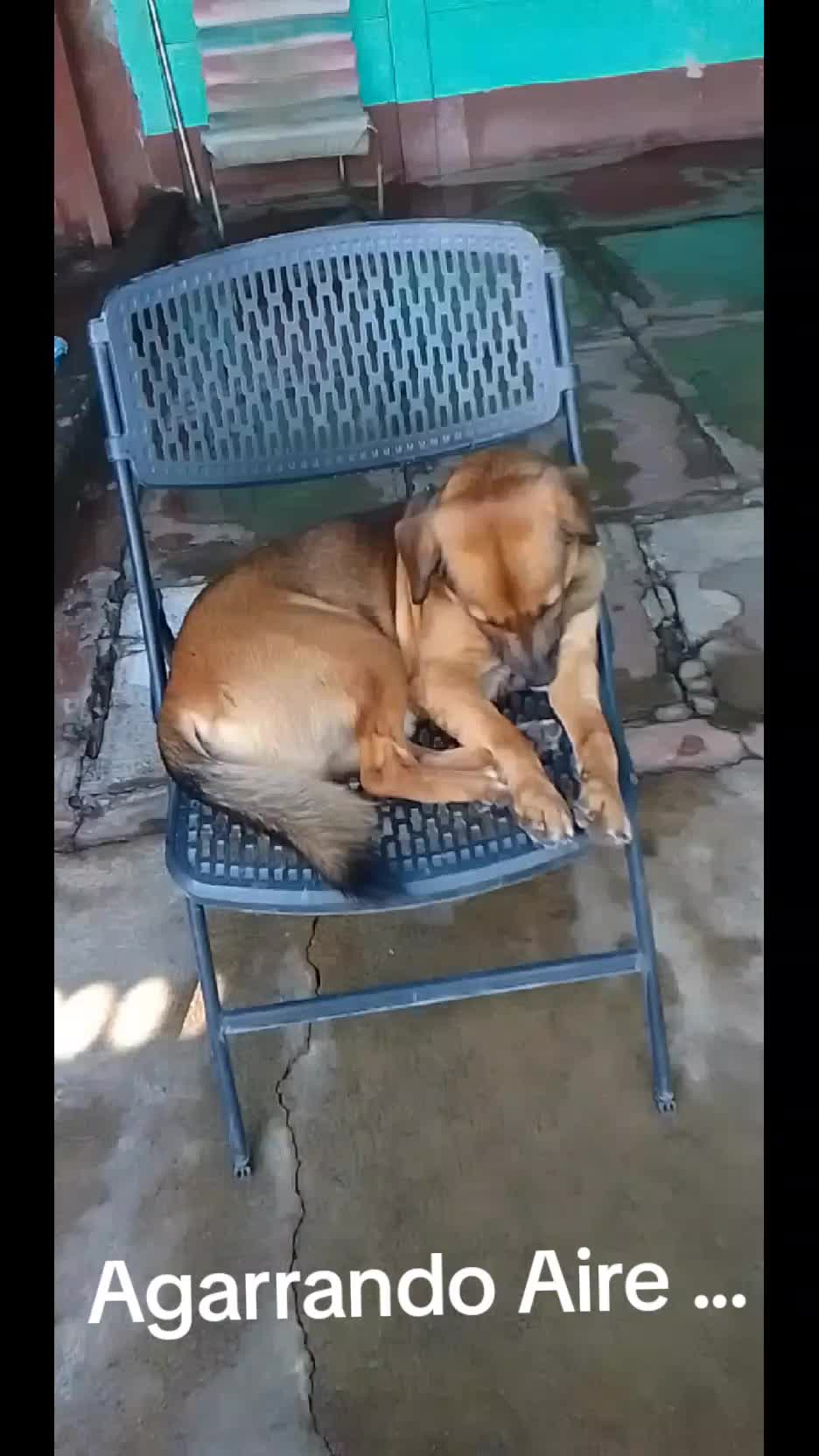 @Bendecido GÓMEZ...