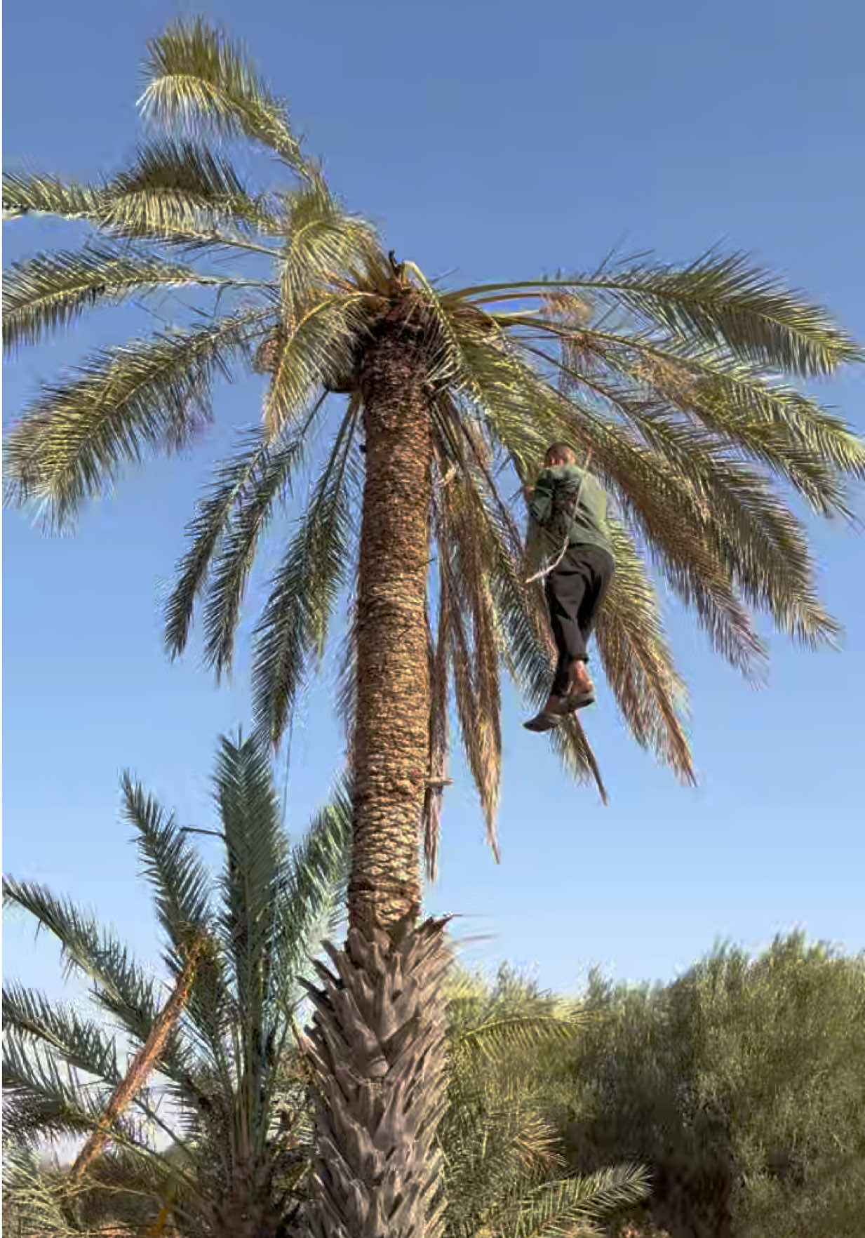 @Ahmed HAJJI 🌍 رحالة