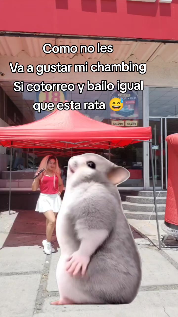@Cath Lira Animadora🐞