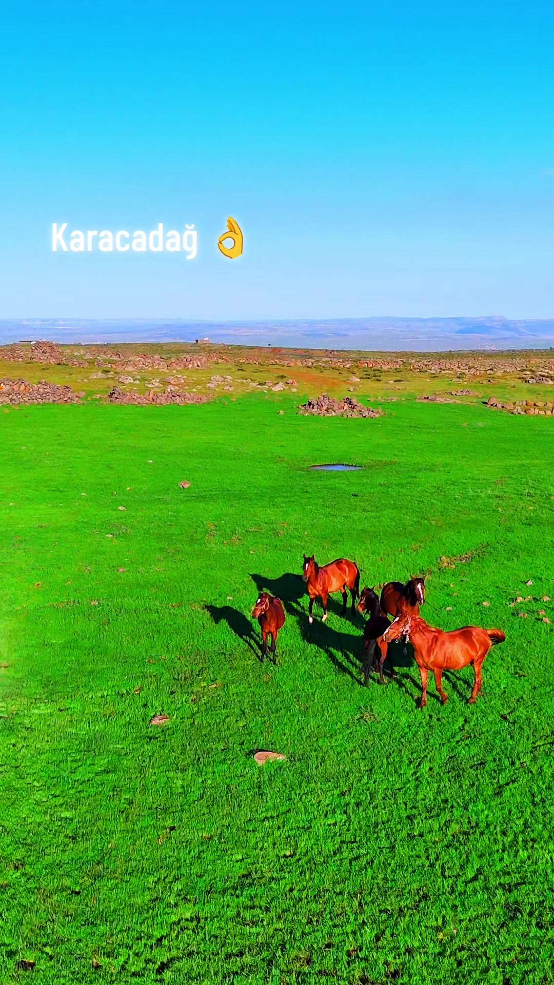 @🔥reşo🔥